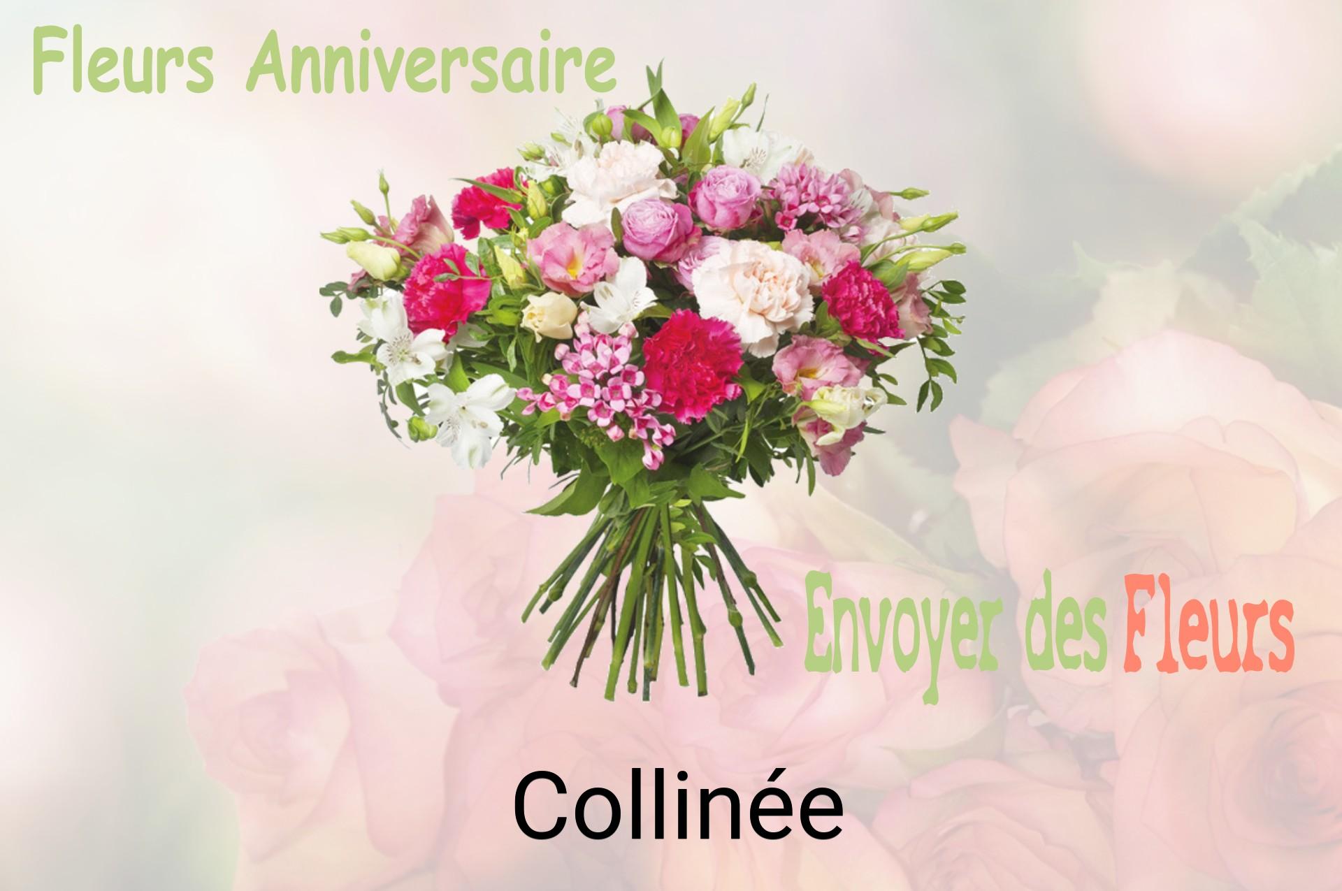 Bouquet de fleurs d’anniversaire livré à Collinée
