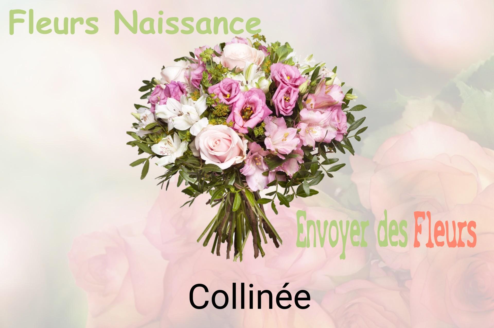 Bouquet de fleurs de naissance livré à Collinée