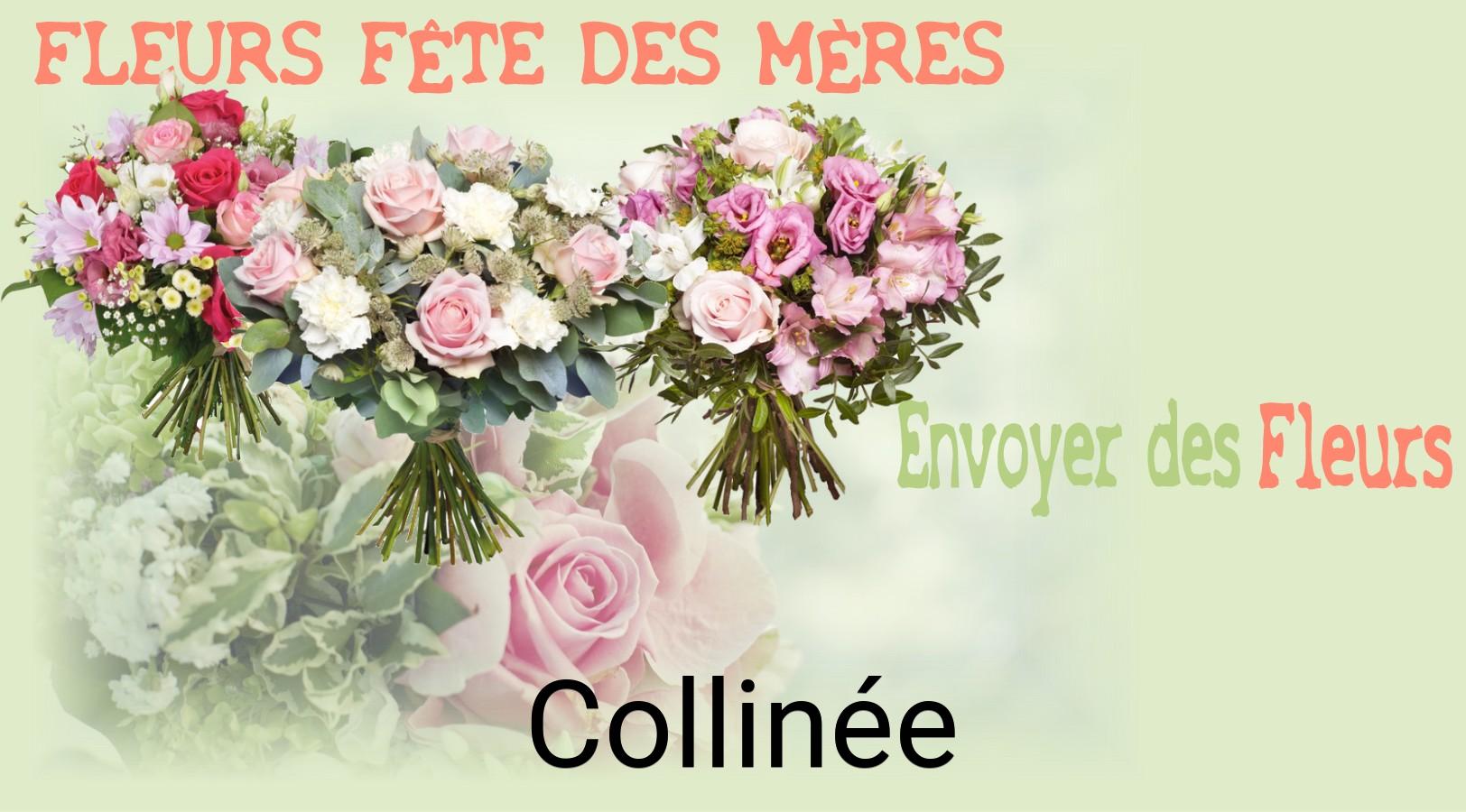 Bouquet de Fête des Mères livré à Collinée